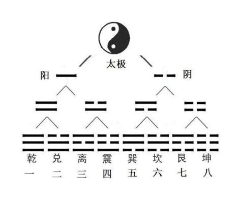 太極 兩儀|太极生两仪，两仪生四象